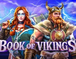 Book of Vikings