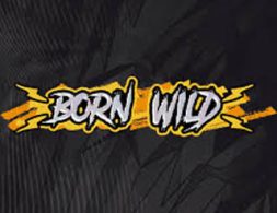 Born Wild