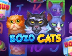 Bozo Cats