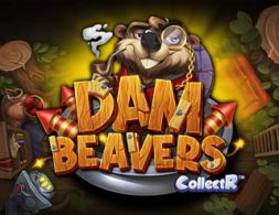 Dam Beavers