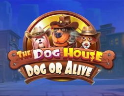 The Dog House – Dog or Alive