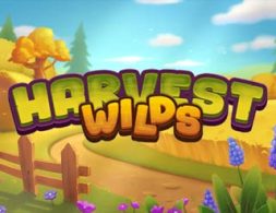 Harvest Wilds