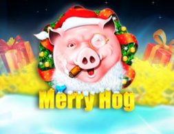 Merry Hog