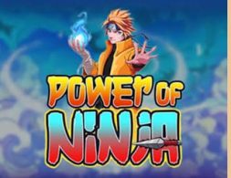 Power of Ninja