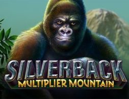 Silverback Multiplier Mountain