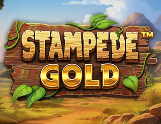 Stampede Gold