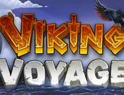 Viking Voyage