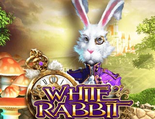 White Rabbit