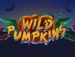 Wild Pumpkins